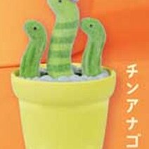 Mooie Kawaii schattige Cactus  - Capsule Toy Gashapon recensie en prijs