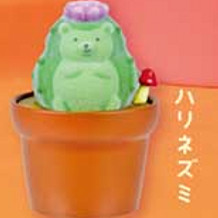 Mooie Kawaii schattige Cactus  - Capsule Toy Gashapon recensie en prijs